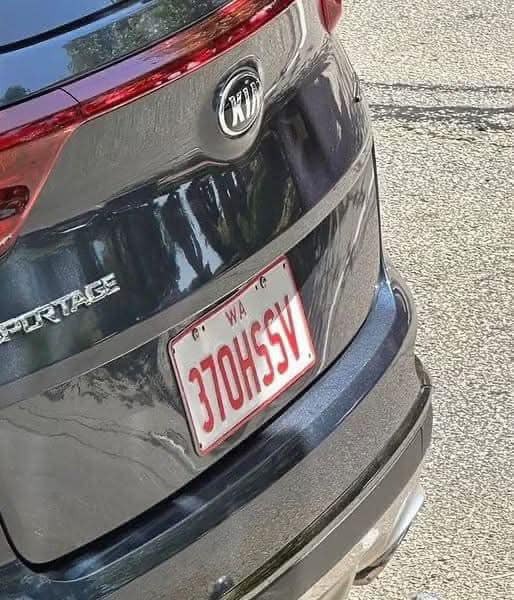 Surprising License Plate Making Waves with Clever Design