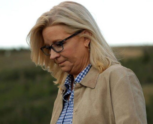 Liz Cheney Freaks Out about Potentially Being Jailed after Over 100 J6 Files Discovered Missing