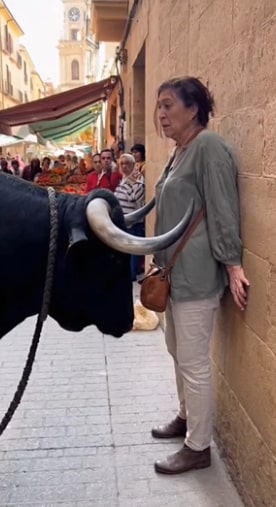 Screenshot 2025-10-30 113559