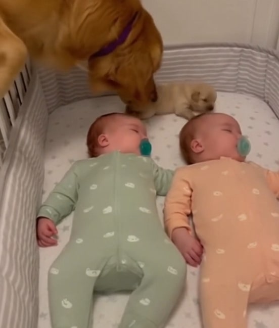 Screenshot 2025-10-30 124740