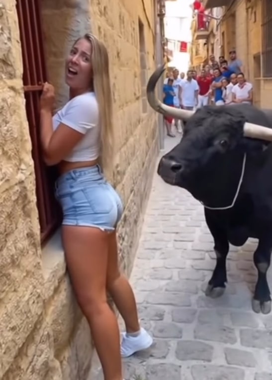 hot young lady, bull approach