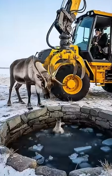 Screenshot 2025-11-06 133336