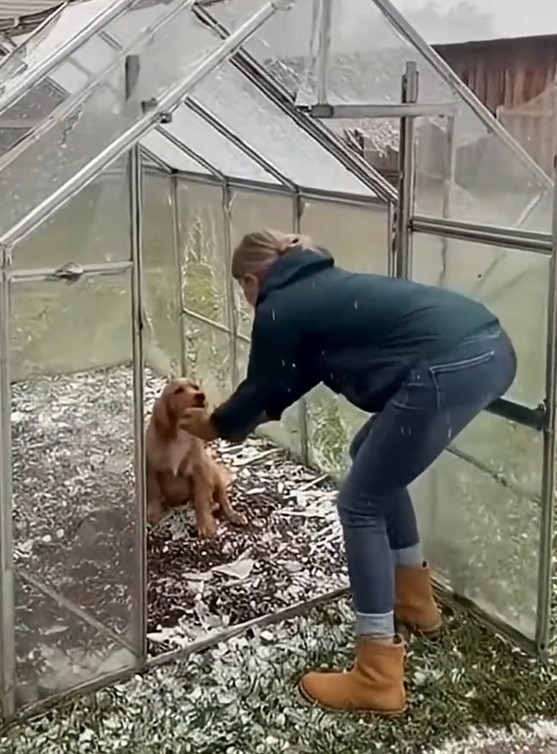 Screenshot 2025-11-25 095709