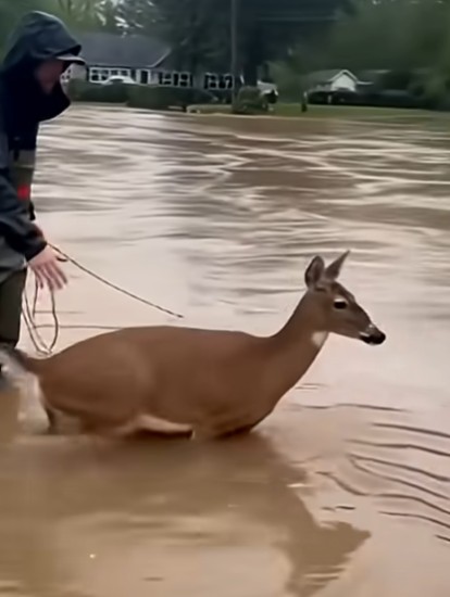 Screenshot 2025-11-25 145553