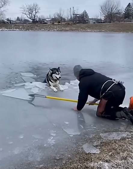 Screenshot 2025-11-26 143111