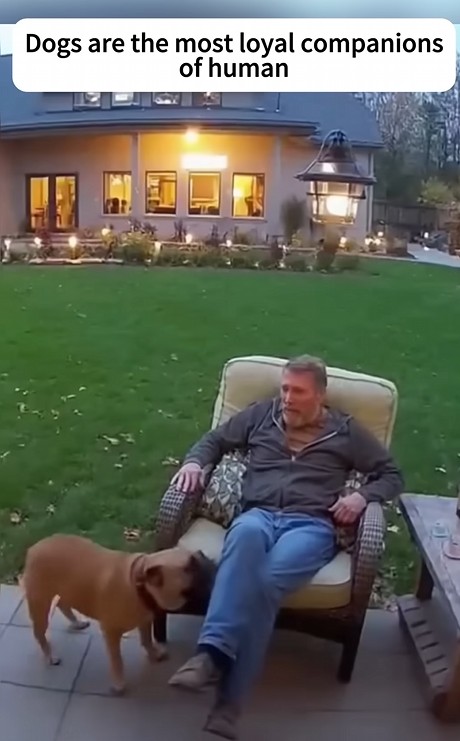 Screenshot 2025-11-27 101605