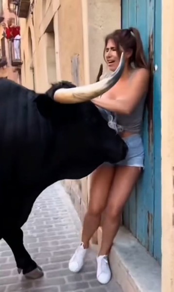 beauty attractive young lady bull attack