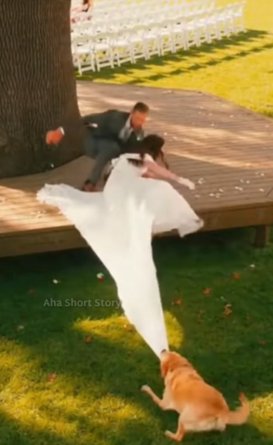 Screenshot 2025-12-01 094221