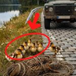 130-bird-tied-Cover
