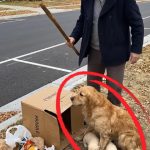79-oldman-dog-Cover
