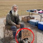 144-dog-sale-Cover