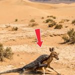 257-deer-lizard-Cover