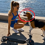 295-woman-dog-Cover