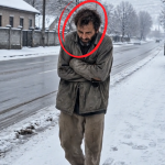 373-cold-Cover